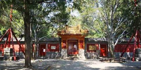 北京市屬公園全面開放，旅行社服務有序恢復